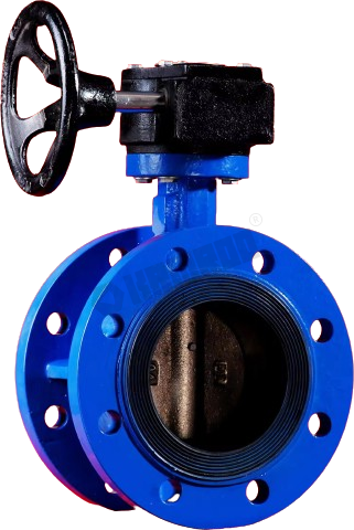 Double eccentric butterfly valve