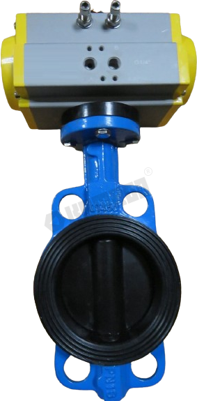 Full Lining Butterfly Valve