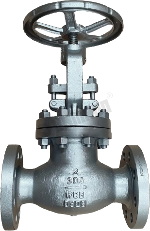 Bolted Bonnet Globe Valve