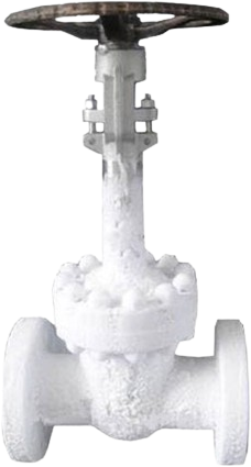 Cryogenic Gate Valve