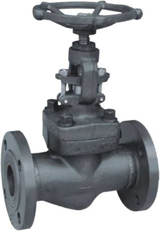 Forged Globe Valve