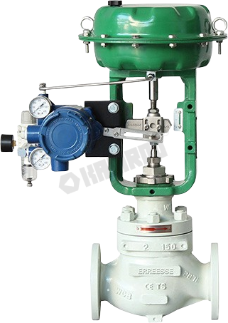 Single seat control valve