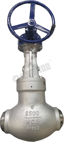 Pressure Bonnet Globe Valve