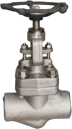 Forged Globe Valve