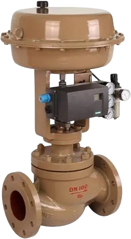 Single seat control valve