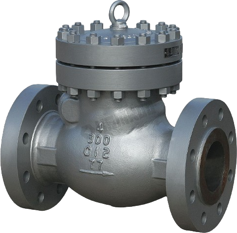 Swing Check Valve