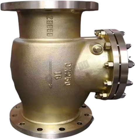 Oxygen Swing Check Valve