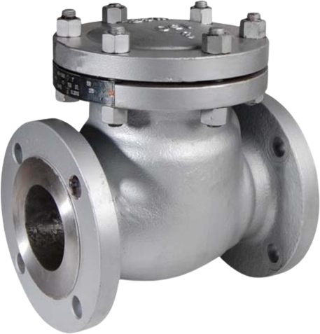 Swing Check Valve