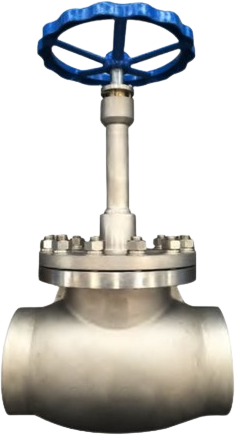 Cryogenic Globe Valve