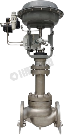 Single seat control valve