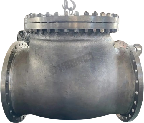 Swing Check Valve