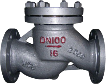 Lift Check Valve