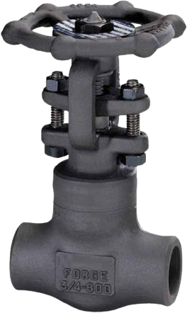 Forged Globe Valve