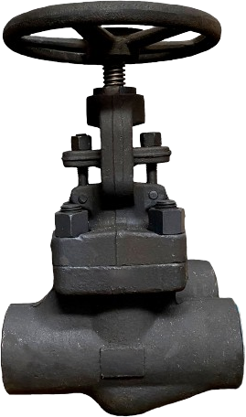 Forged Globe Valve