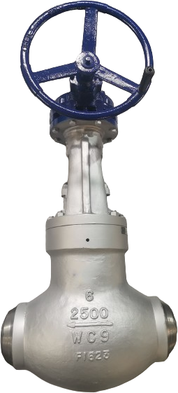 Pressure Bonnet Globe Valve