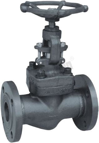 Forged Globe Valve