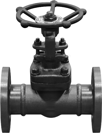 Forged Gate Valve