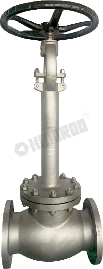 Cryogenic Globe Valve