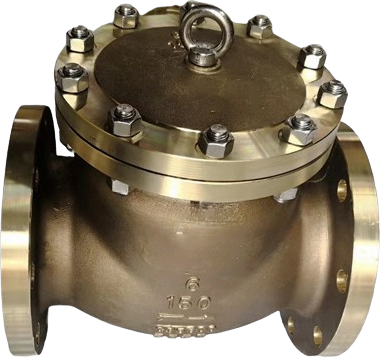 Oxygen Swing Check Valve