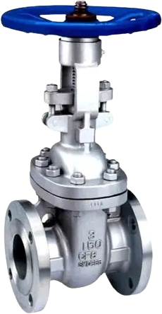 Stainless steel gate valve API6031