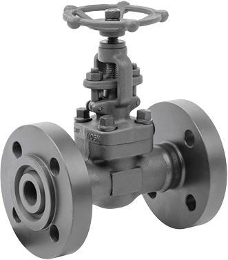 Forged Globe Valve