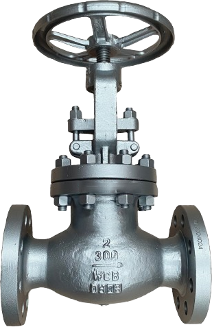 Bolted Bonnet Globe Valve