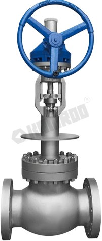 Cryogenic Globe Valve