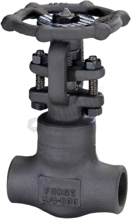 Forged Globe Valve