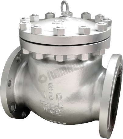 Swing Check Valve