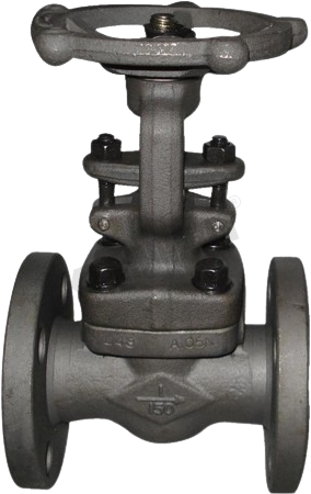 Forged Gate Valve