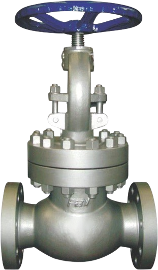 Bolted Bonnet Globe Valve