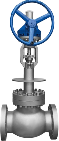 Cryogenic Globe Valve