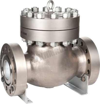 Swing Check Valve