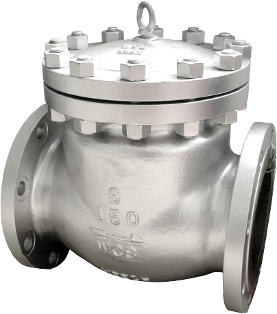 Swing Check Valve