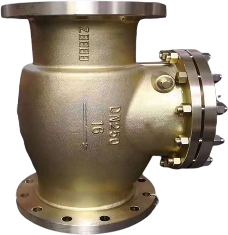 Oxygen Swing Check Valve