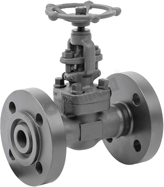 Forged Globe Valve