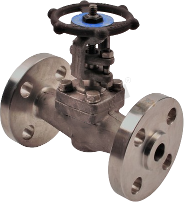 Forged Gate Valve