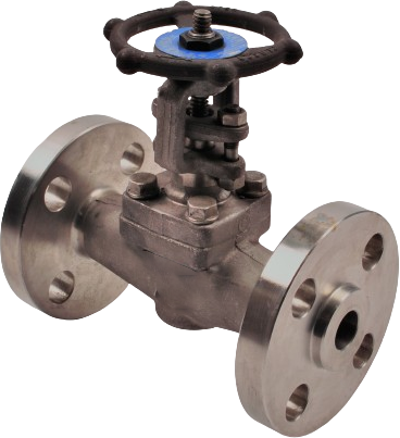 Forged Gate Valve